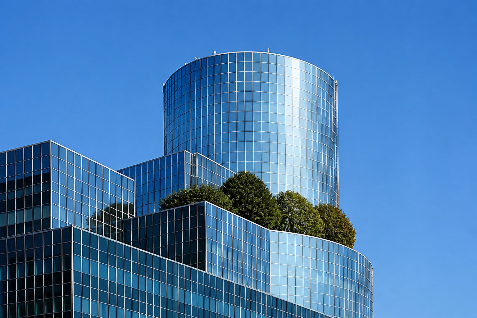 Leçons à tirer de l'implantation des géants du CAC 40
