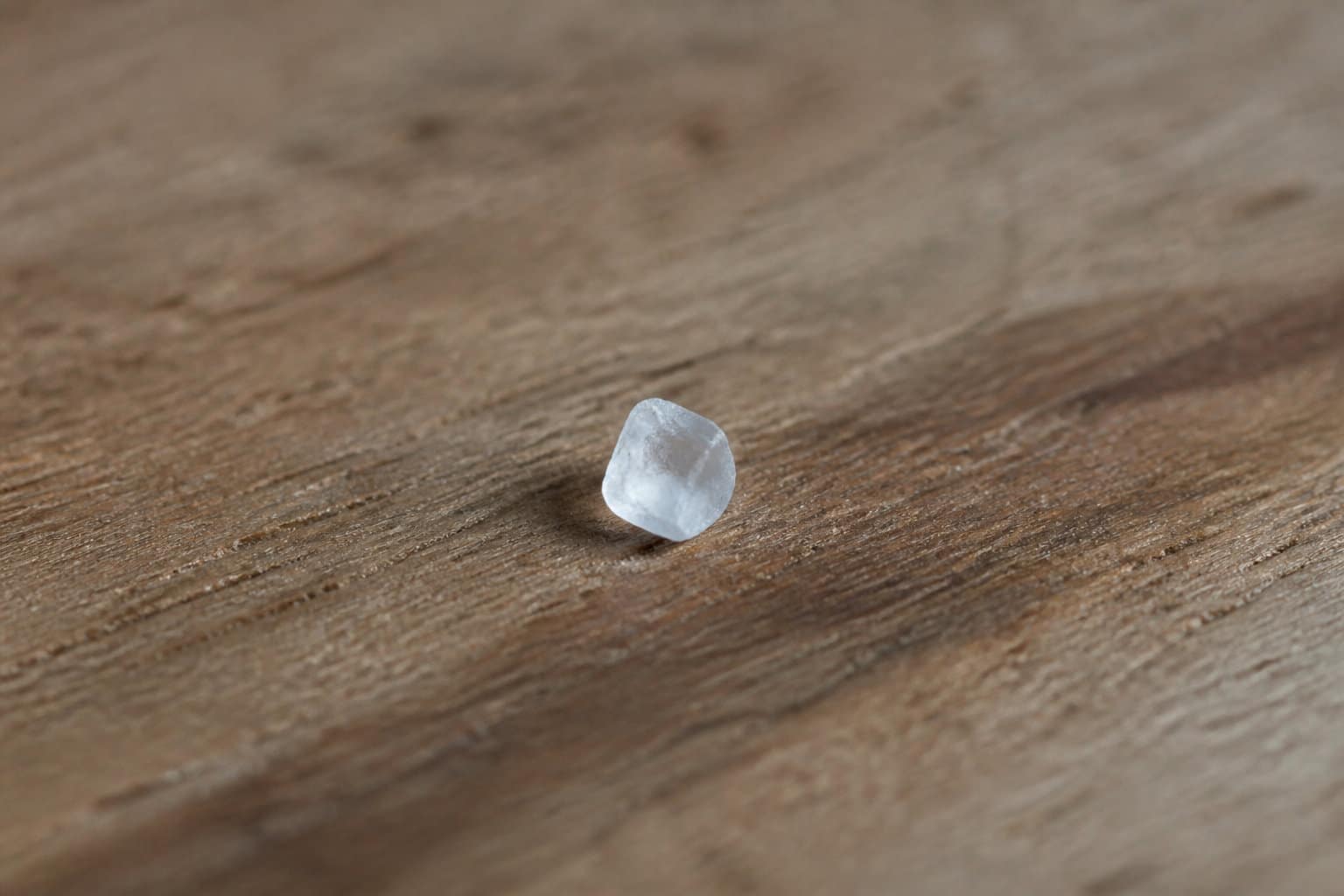 La Compagnie du Grain de Sel pour une approche contemporaine