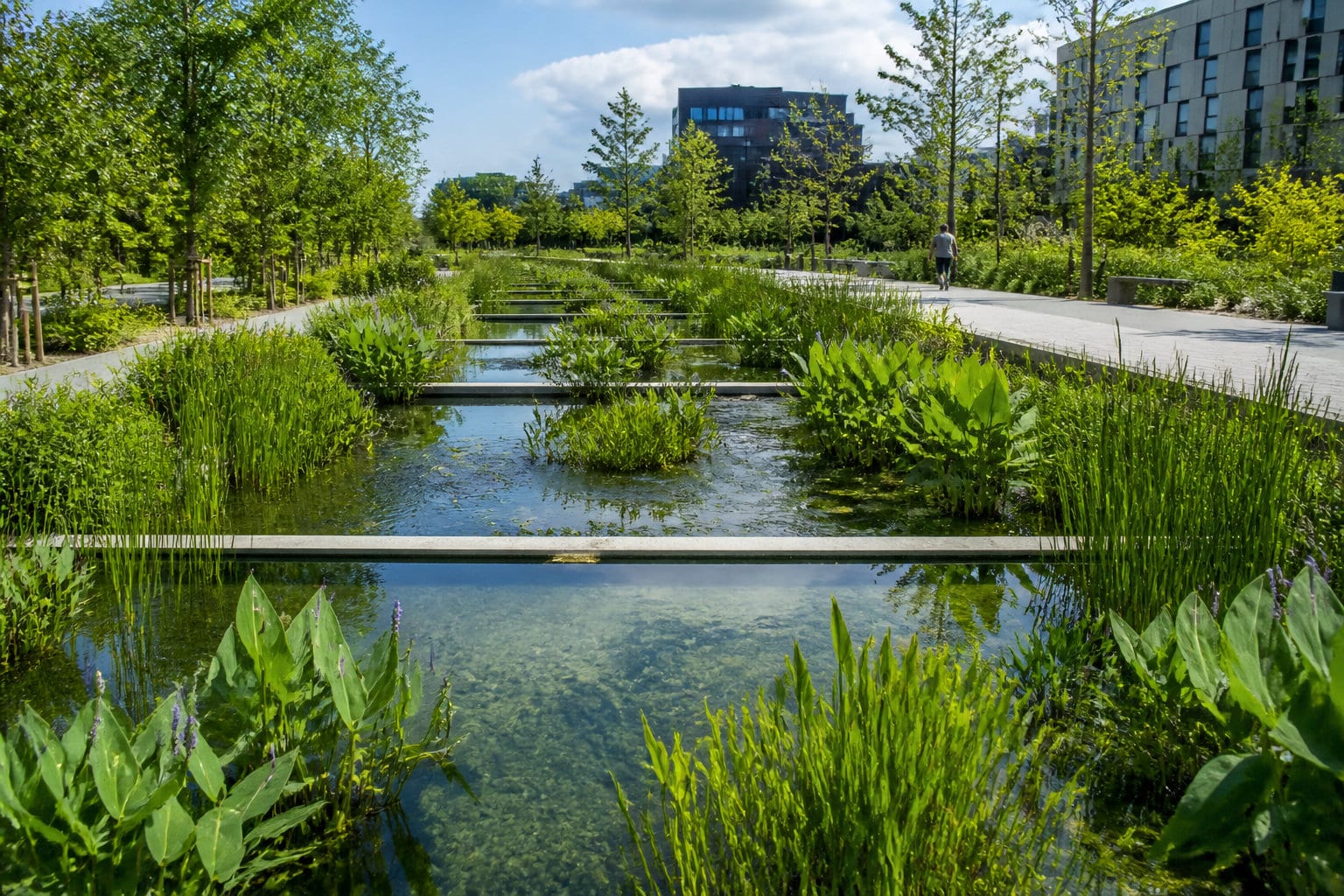 Gestion durable des eaux et conseils de fraîcheur estivale