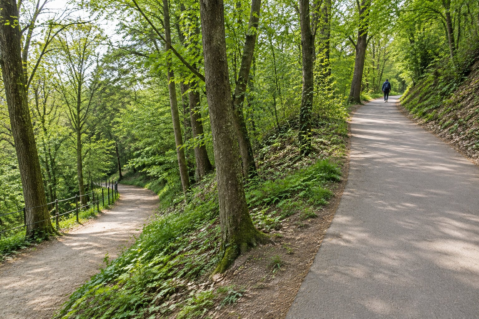 Un promeneur marche sur un chemin goudronné dans un bois verdoyant, tandis qu’un sentier de terre longe une rambarde à gauche.